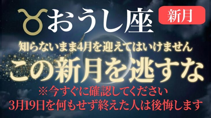 【おうし座】3月19日の新月を逃すと8年間の頑張りが無駄になります