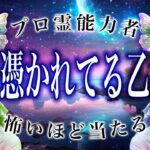【⚠️これからが本番】⚠️乙女座3月にとんでもないことが起こります。運命が切り替わる重要サイン【運勢タロット占い】