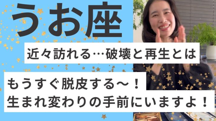 【うお座】ちゃんとしなきゃ病から抜ける！光輝く蝶になる、少し手前にいます！過去と決別！