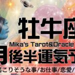 牡牛座♉︎【3月後半運気予報】おつかれ様でした🥹👏ついに解放🕊️🌈辛く重い時期はもう終わり‼️🤗ここから愛情も豊かさも全て手に入る💖🤲🏻