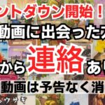 【一択タロット】⚠️この動画は予告なく消えます🧑🏻‍❤️‍🧑予祝としてしてご覧になれます🔮浄化済み🔥　駆け巡るウサギ🐇