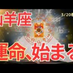 【山羊座】春分🌸新章スタート🌟ここから動き出すあなたの運命🌈🍀タロット占い&オラクルカードリーディング