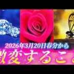 【復活の時⏰】本当に変わる！豊かさ・覚醒・いっぱいの愛・使命の始まり・・あなたに起こるのはどれ？宇宙元旦からの始まり🌈個人鑑定級タロット占い