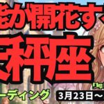 【天秤座】♎️2026年3月23日の週♎️第三の目が開く！「何でもできる自分」に目覚める希望の時。才能開花