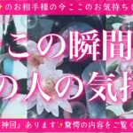 【恋愛💖超神回✨】今この瞬間のあの人のあなた様へのお気持ち🔮🦋ルノルマンカードとタロットカードの併せ読みでズバリ鑑定します✨
