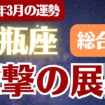 【水瓶座】2026年3月 みずがめ座の運勢 総合運「衝撃の展開」