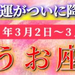 魚座 【 うお座 ♓ 】毎週タロット( 2026年3月 2日の週) ついに最高運期へ！後半、笑顔が止まらない展開に✨🔑 Pisces タロット占い タロットリーディング