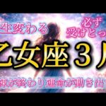 乙女座3月♍️人生変わる🥹試練が終わり✨運命が動き出す🌈必ず受けとって🎁