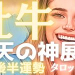 【牡牛座3月後半】⚠️正直、腰を抜かしました。積み上げた努力が「最高の形」で実を結びます。想像を超える神展開✨タロット占い