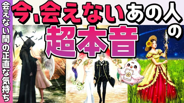 【選択肢○さん運命的神展開🥹】今会えないあの人の超本音。あなたをどう思ってる？恋愛タロット・当たる占い