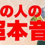【もう苦しまなくていいよ】あの人の超本音と、あなたに奇跡が舞い込む理由を占います🪽✨