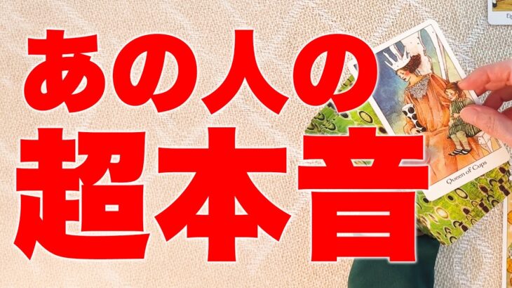 【もう苦しまなくていいよ】あの人の超本音と、あなたに奇跡が舞い込む理由を占います🪽✨