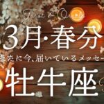 【牡牛座♉️3月春分】ここから大きく動き出す🌸宝箱が開きます👏✨タロット&オラクルカードリーディング