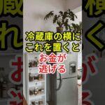 冷蔵庫の横に置くとお金が逃げる