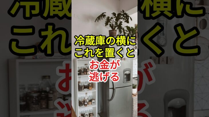 冷蔵庫の横に置くとお金が逃げる