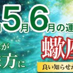 【蠍座4月〜6月☘️】大転機！良い知らせが届き味方が増えて前進する🤝［運勢リーディング＆タロット＆オラクル］