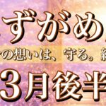 みずがめ座♒️3月後半タロット🌕自分の想い、愛、絶対に守る。何があっても🔥