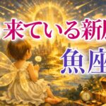 【うお座さん🔑】もう来ている新展開🪐見た時がタイミング【タロット・ルノルマン・オラクルカードリーディング】