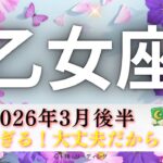 【おとめ座3月後半】無敵すぎる‼️決着がつく🌸大丈夫だから👌さらに恩恵を受け取るためには、、、💰👀