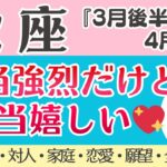 今回相当凄い🫣蠍座さん強烈過ぎました❤️‍🔥✨[仕事/対人/家庭/恋愛/願望/全体運] 2026年3月後半〜4月前半/タロット占い