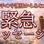 【見逃さないで…】お相手の守護様からあなたへ緊急メッセージ👼💖恋愛タロット占い