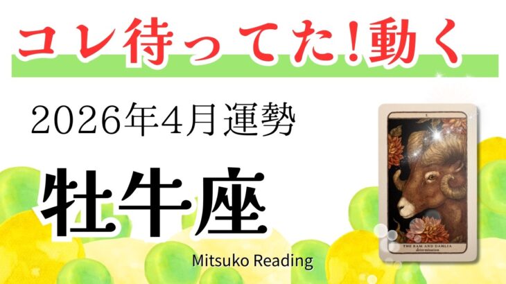 牡牛座4月は大きく動く！大丈夫、理想をカタチにするなら今！2026年4月運勢【癒しのタロット個人鑑定級】