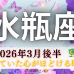 【みずがめ座3月後半】固くなった心がほどける🥰ここから優しい春へ🌸流れが変わる🌈