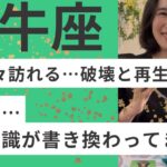 【牡牛座】その違和感や、うまくいかない理由はこれ！腐れ縁と決別、安定のステージへ！