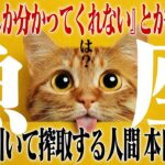 【魚座・春分】「あなたしか分かってくれない」は搾取のサイン。同情心を煽って依存する人間を即刻損切りする決意の月。