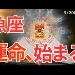 【魚座】春分🌸新章スタート🌟ここから動き出すあなたの運命🌈🍀タロット占い&オラクルカードリーディング