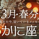 【蟹座♋️3月春分】おめでとう！大祝福の到来です🌸✨不安は笑い飛ばして行こう！タロット&オラクルカードリーディング