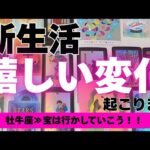 【牡牛座】新生活で起こる嬉しい変化🌟▼タロットカード&オラクルカード&ルノルマンカード占い
