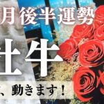 2233で大興奮🌞いよいよ、本当のあなたに戻る流れが始まります！【おうし座3月後半運勢】