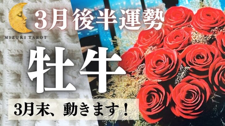 2233で大興奮🌞いよいよ、本当のあなたに戻る流れが始まります！【おうし座3月後半運勢】
