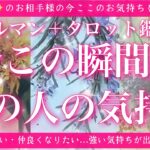 【最新✨恋愛💖】今この瞬間のあの人のあなた様へのお気持ち🔮🦋ルノルマンカードとタロットカードの併せ読みでズバリ鑑定します✨