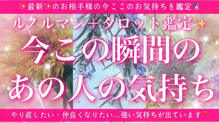 【最新✨恋愛💖】今この瞬間のあの人のあなた様へのお気持ち🔮🦋ルノルマンカードとタロットカードの併せ読みでズバリ鑑定します✨