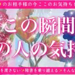 【最新✨恋愛💖】今この瞬間のあの人のあなた様へのお気持ち🔮🦋ルノルマンカードとタロットカードの併せ読みでズバリ鑑定します✨