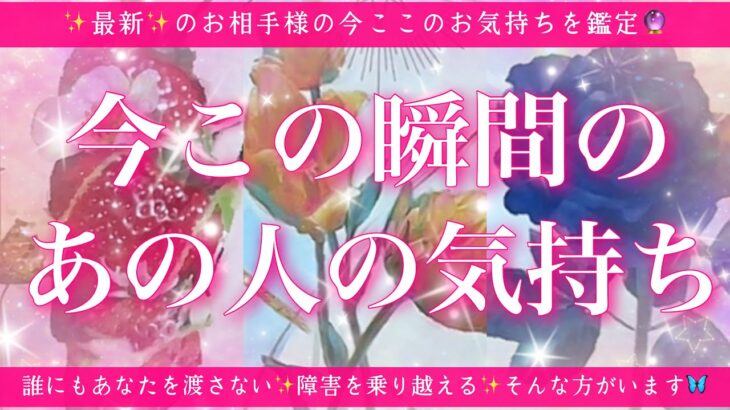 【最新✨恋愛💖】今この瞬間のあの人のあなた様へのお気持ち🔮🦋ルノルマンカードとタロットカードの併せ読みでズバリ鑑定します✨