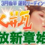 『3月31日までに見て‼️』⚡水瓶座♒️解放から新章突入🪽運命が加速する✨自分らしく無限の可能性を開花させる【2026年3月後半タロットリーディング】