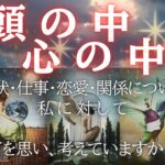 【 覗いてみませんか？🧠💖 】あの人の頭の中・心の中、今のあなたへの気持ち 【 恋愛・タロット・オラクル・カード・占い 】