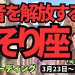 【蠍座】♏️2026年3月23日の週♏️内なる声を解放！大地のエネルギーと繋がる深い一週間