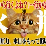 【水瓶座・春分】「みんな行くから行くよね？」の謎ルールは今日で終了です。無駄な課金と人間関係をバッサリ切り捨てる春分の覚醒。