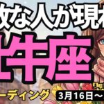 【牡牛座】♉️2026年3月16日の週♉️もう心配はいらない。自分らしく種をまけば最高の出会いへ！