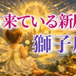 【しし座さん🔑】もう来ている新展開🪐見た時がタイミング【タロット・ルノルマン・オラクルカードリーディング】