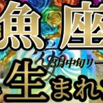 HappyBirthday魚座さんの3月中旬は、アナタの元へ愛が溢れ出します！😲✨♾️タロット占い♾️
