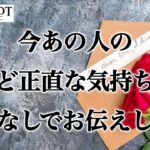 【💡明晰鑑定‼️見た時がタイミング✨】今あの人のど正直な気持ち忖度なしでお伝えします🌹