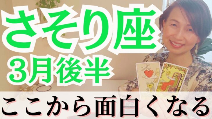 【さそり座】もう無理しなくていい｜愛で繋がる人だけが残る