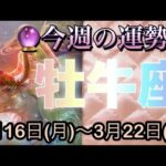 牡牛座♉️さん⭐️3月16日(月)〜3月22日(日)🔮願い事が叶うかも‼️未来が楽しみになりそう🌈🌈