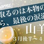 やぎ座♑️2026年３月後半〜４月前半🌝溜めてきた思い、溢れる、もう分かってしまう、苦しみからの解放、激変と希望の到来