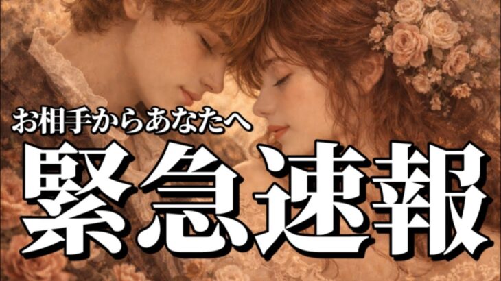 【緊急】ハッキリ言います😳恋愛タロット占い